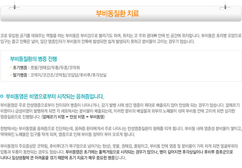 부비동질환 치료