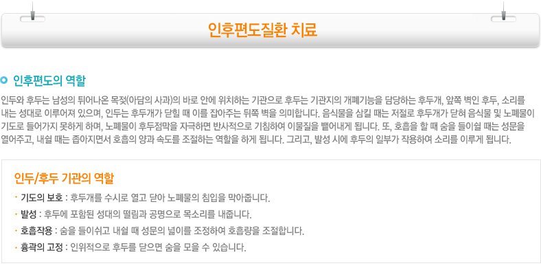 인후편도질환
