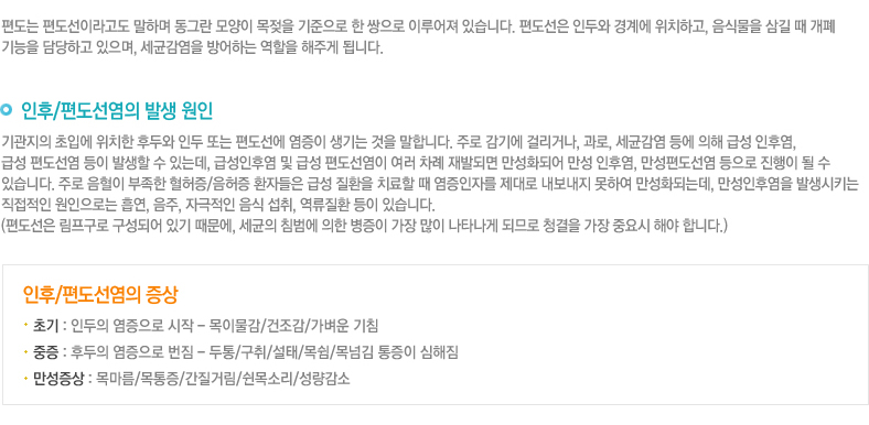 인후편도질환 증상